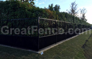Black Privacy Fence